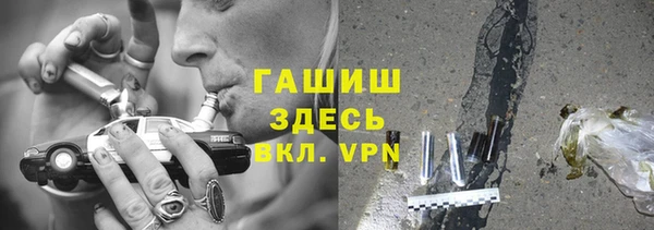 прущие грибы Абаза