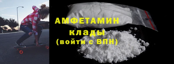 прущие грибы Абаза