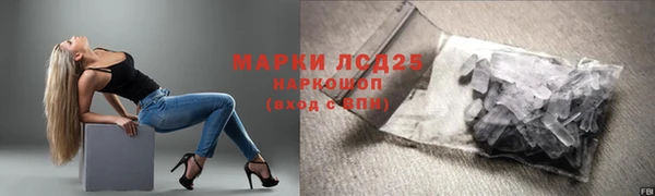 прущие грибы Абаза