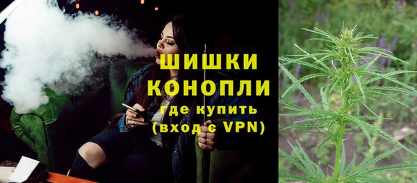 дурь Пестово