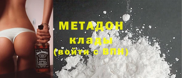 прущие грибы Абаза