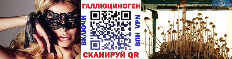 цена   Кораблино  Галлюциногенные грибы MAGIC MUSHROOMS 